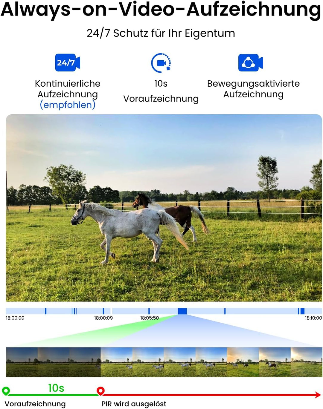 Reolink 4G LTE Überwachungskamera mit SIM Karte, 24/7-Aufzeichnung, 2K Kamera Outdoor Akku mit 30W S