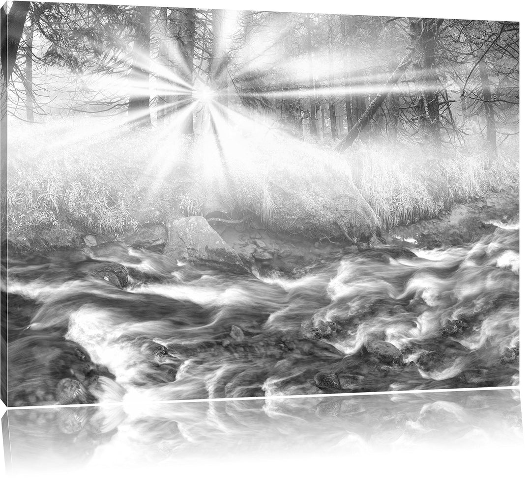 Pixxprint Nebeldickicht im Wald Kunst B&W, Format: 100x70 auf Leinwand, 100x70