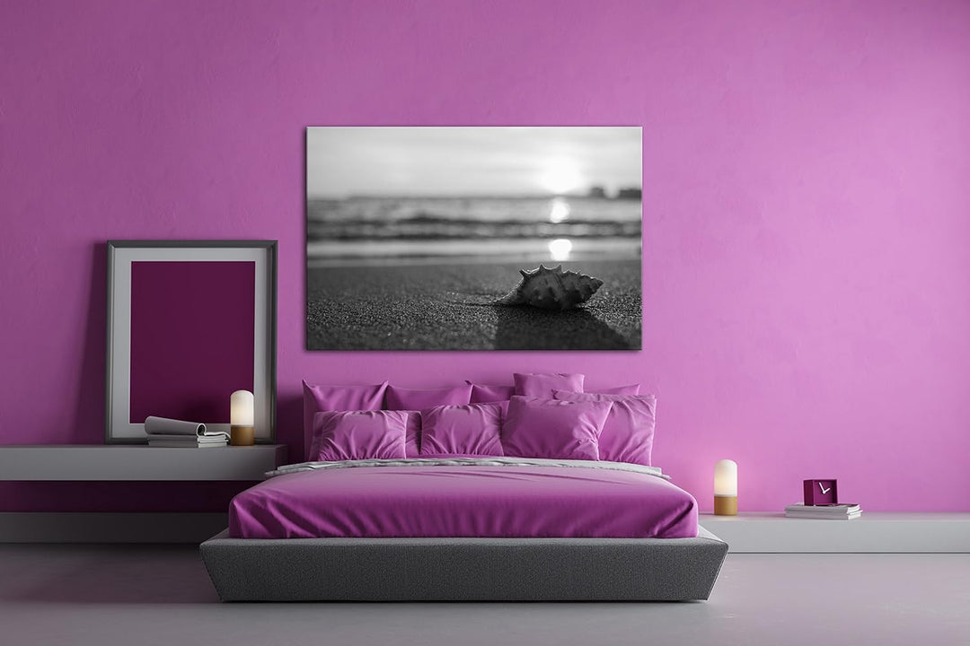 deyoli einzelne Muschel am Strand Effekt: Schwarz/Weiss Format: 80x60 als Leinwand, Motiv fertig ger