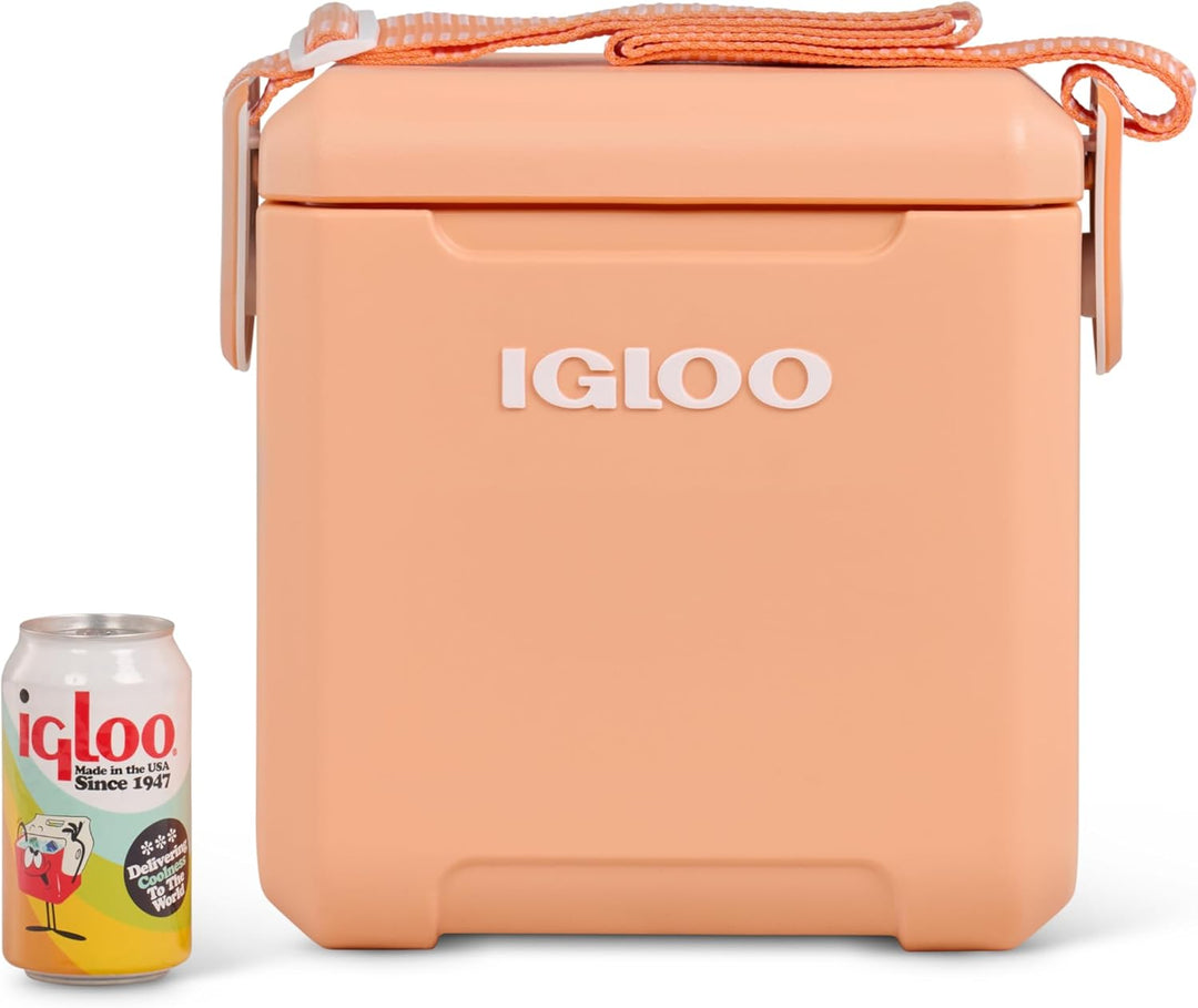 Igloo Passiv-Kühlbox Tag Along Too Apricot, Apricot