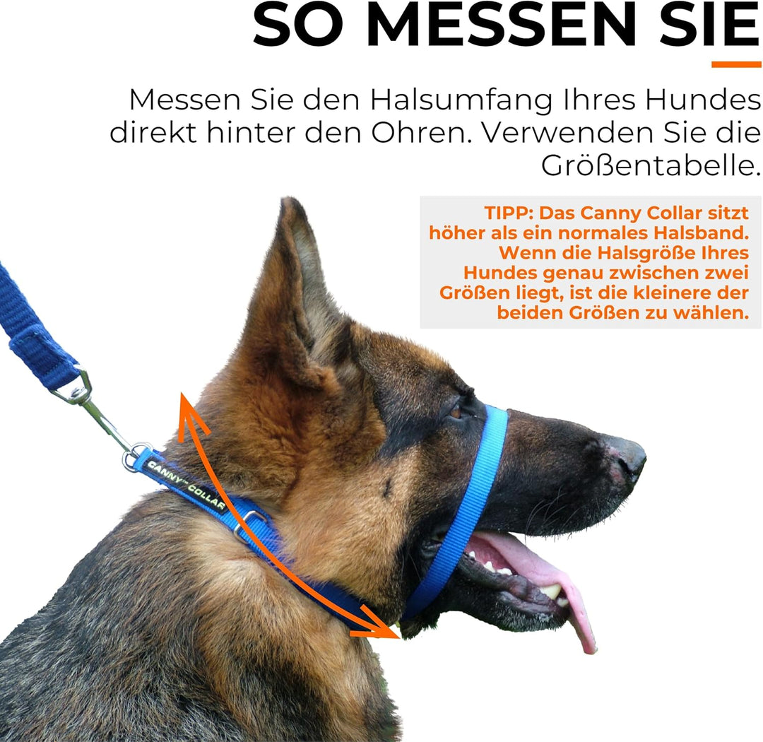 Canny Collar Halsband für Hunde, einfache und effektive Hilfe beim Hundetraining und verhindert das
