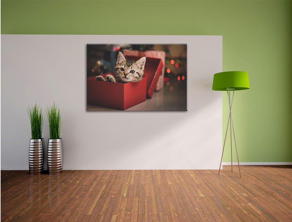 Pixxprint süsses Kätzchen in der Box als Leinwandbild/Grösse: 100x70 cm/Wandbild/Kunstdruck/fertig b