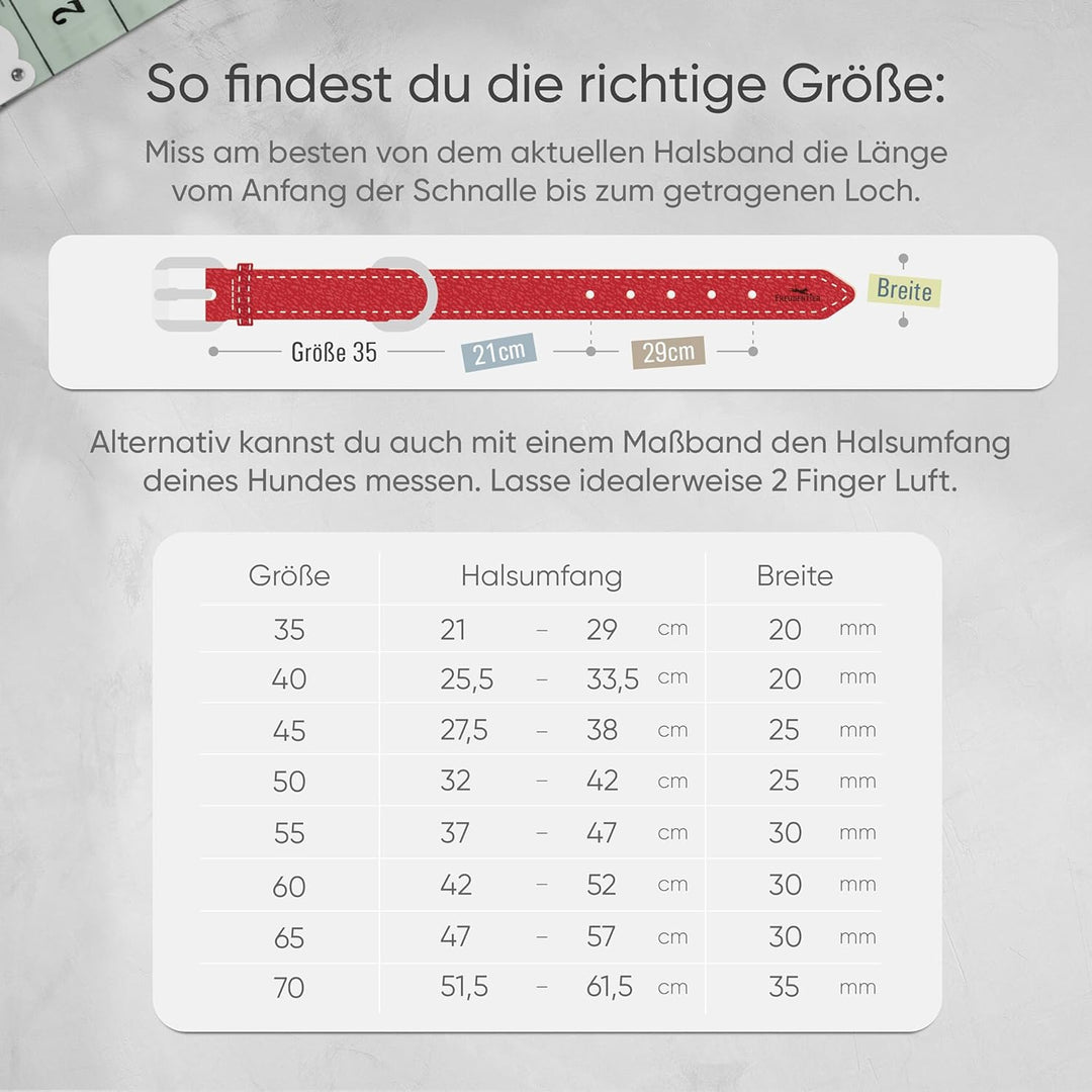 FREUDENTIER® Hundehalsband Leder, gefüttert & komfortabel, hochwertiges breites Lederhalsband aus Vo