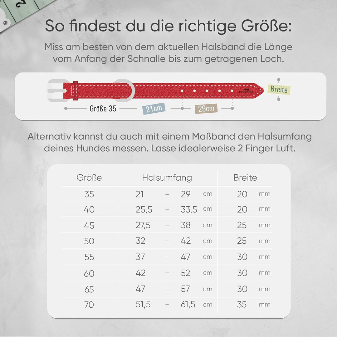 FREUDENTIER® Hundehalsband Leder, gefüttert & komfortabel, hochwertiges breites Lederhalsband aus Vo