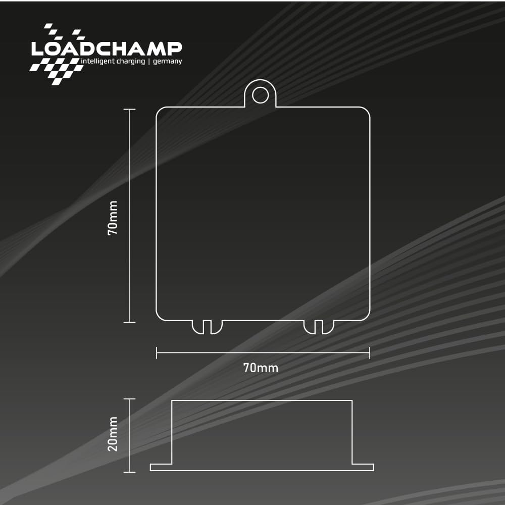 Loadchamp Batterie Ladungsausgleicher Ausgleichslader Balancer 24V 36V 48V Solar Akku Single, Single