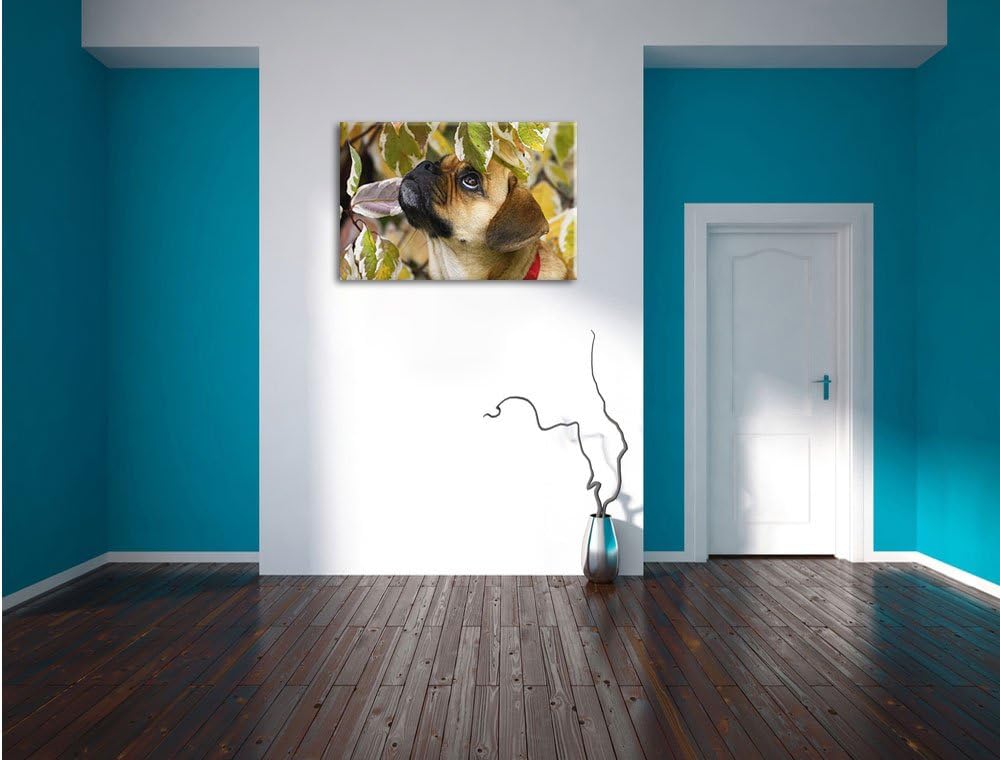Pixxprint zwischen Blättern Mops als Leinwandbild/Grösse: 100x70 / Wandbild/Kunstdruck/fertig bespan