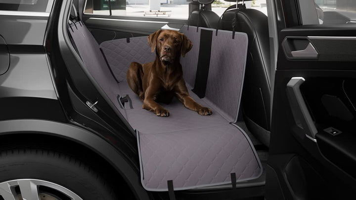 Knuffelwuff universal Hunde Autoschondecke für die Rückbank 137x148cm - Wasserabweisend, Kratzfest u