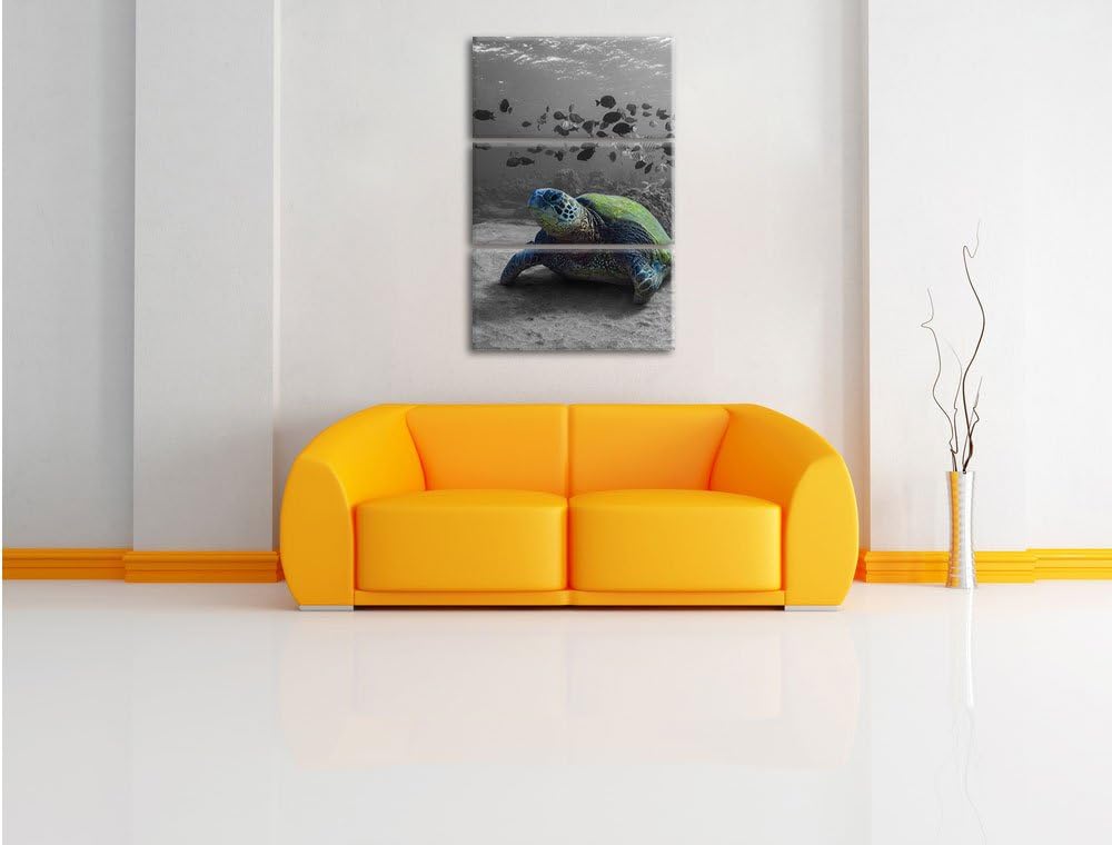 Pixxprint Schildkröte im Ozean schwarz/weiss als Leinwandbild/Grösse: 3 Teilig (120x80 cm) cm/Wandbi