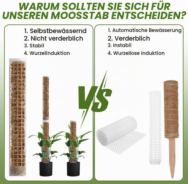 Vicloon Moosstab Rankhilfe, 6 Stück Kunststoff-Moosstange 61cm Monstera Pflanzstab, Pflanzenunterstü