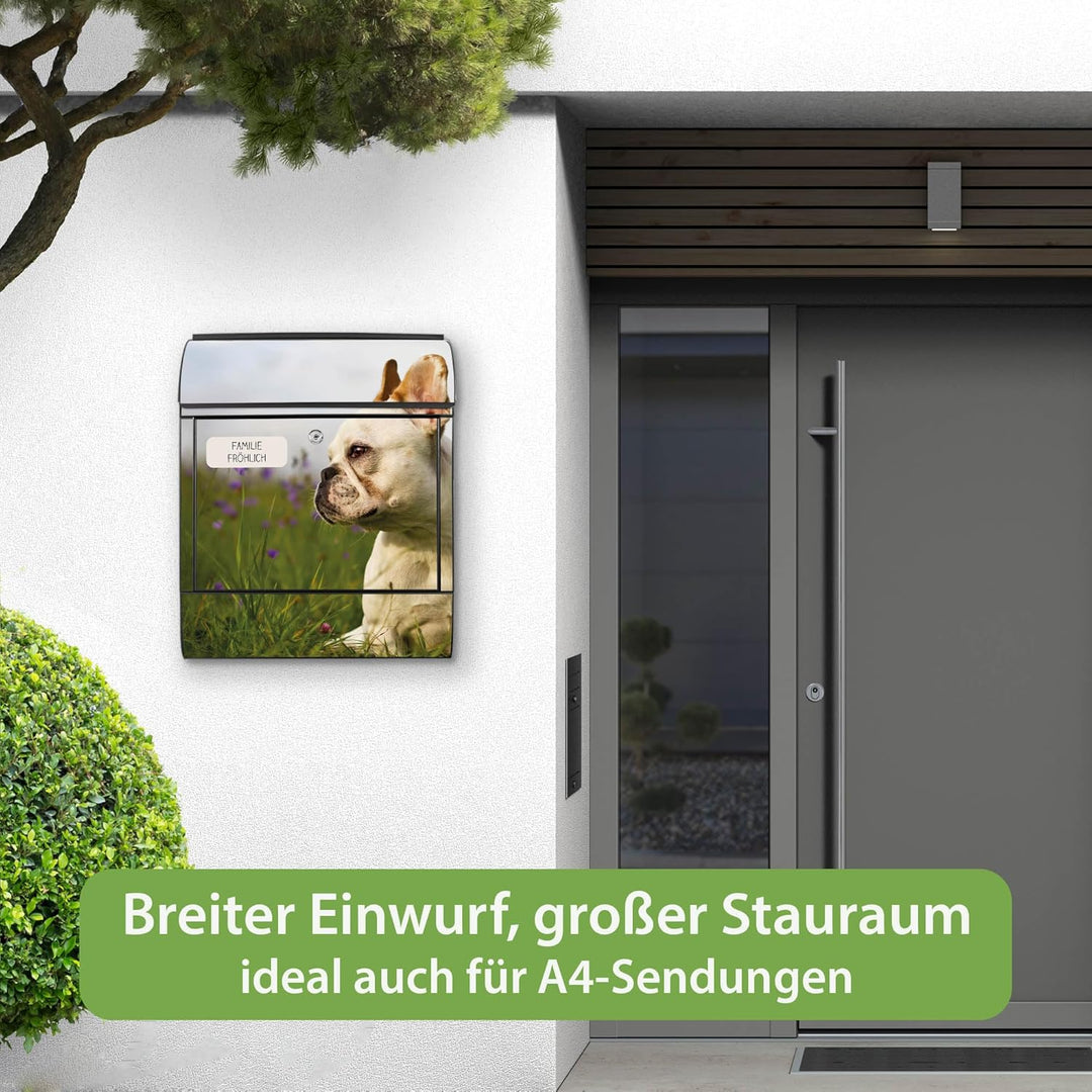 banjado® Design Briefkasten personalisiert Motiv Französische Bulldogge 39x47x14 &amp; 2 Schlüssel - Bri