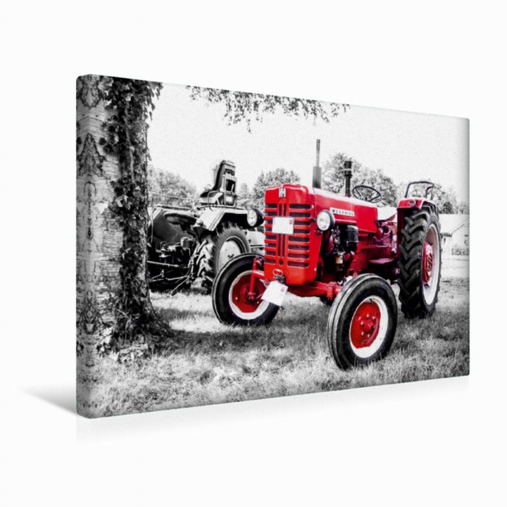 Premium Textil-Leinwand 45 x 30 cm Quer-Format MC Cormick | Wandbild, HD-Bild auf Keilrahmen, Fertig