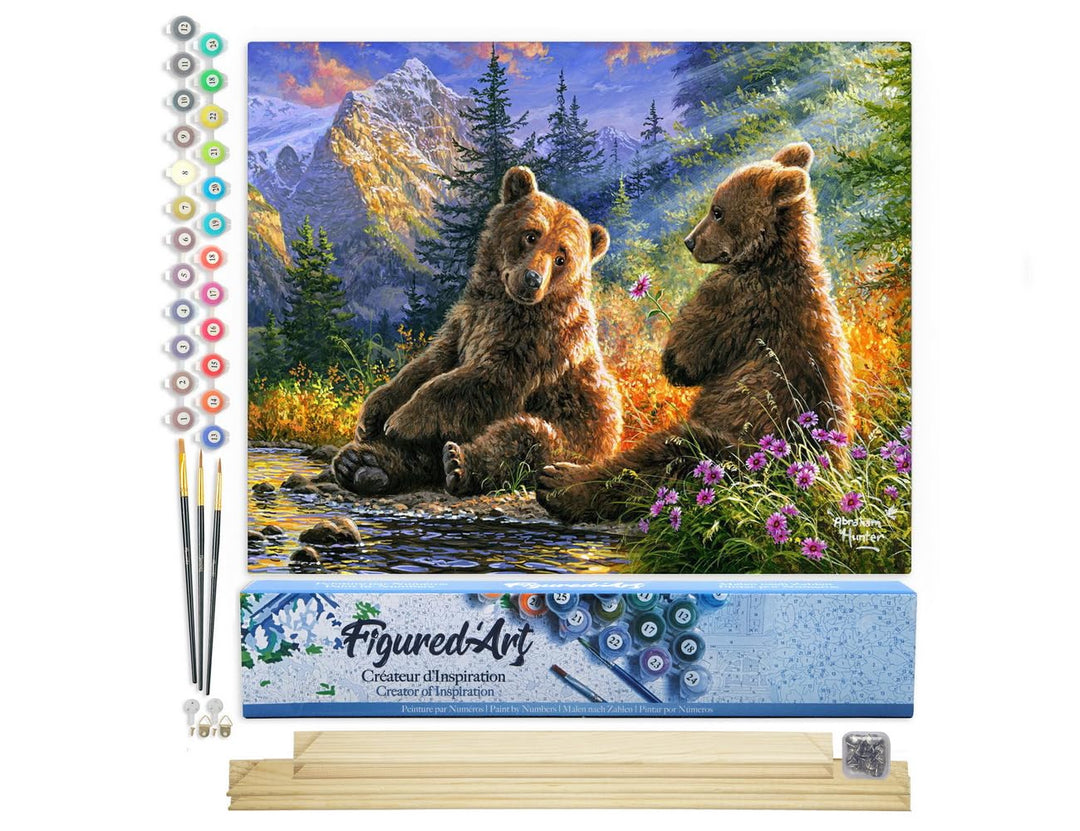 Figured'Art Malen Nach Zahlen Erwachsene Mit Rahmen Bärenpaar - Paint by Numbers Basteln DIY Bastels