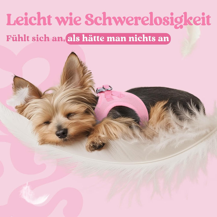 rabbitgoo Hundegeschirr Kleine Hunde, Step-in Welpengeschirr Weich Mesh für Spaziergänge, Atmungsakt