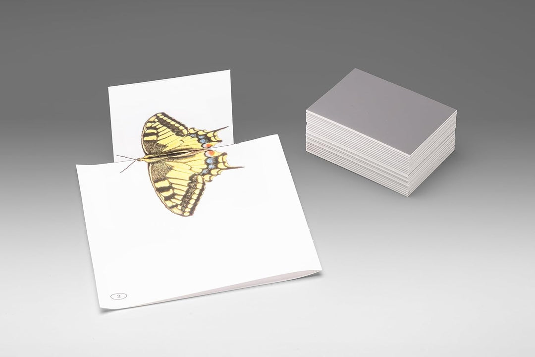 WISSNER 81500 aktiv lernen - 25 Kunststoff Spiegel 87 x 62 x 1.5 mm 9x7 cm set of 25 Single, 9x7 cm