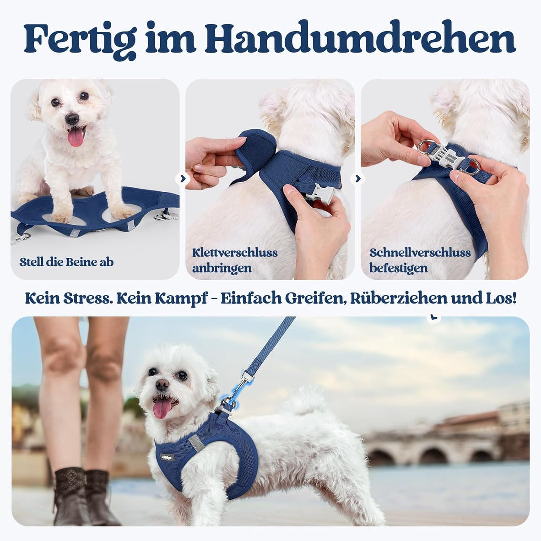 rabbitgoo Hundegeschirr Kleine Hunde mit Leine, Step-in Welpengeschirr Weich Mesh für Spaziergänge,