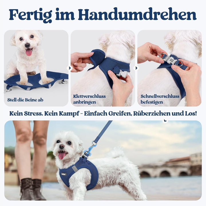 rabbitgoo Hundegeschirr Kleine Hunde mit Leine, Step-in Welpengeschirr Weich Mesh für Spaziergänge,