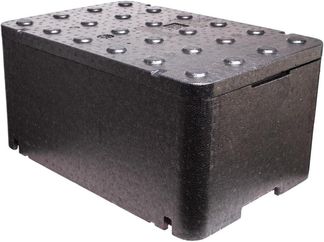 Allpax Thermobox 46 Liter - GN 1/1 mit Deckel - 60 x 40 x 29,6 cm - mit Griffmulden - Isolierbox, Kü