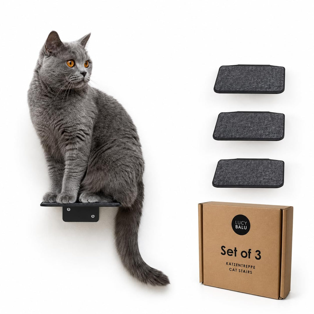 LucyBalu® STEPS Katzentreppe Wand Innen & Aussen 3er Set | Katzen Kletterwand | Wandpark für Katzen