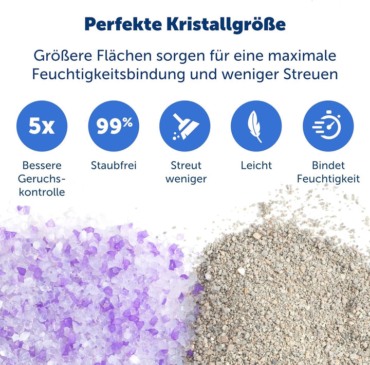PetSafe ScoopFree Premium Silikat-Katzenstreu mit Lavendelduft, Doppelpack, hervorragende Geruchskon