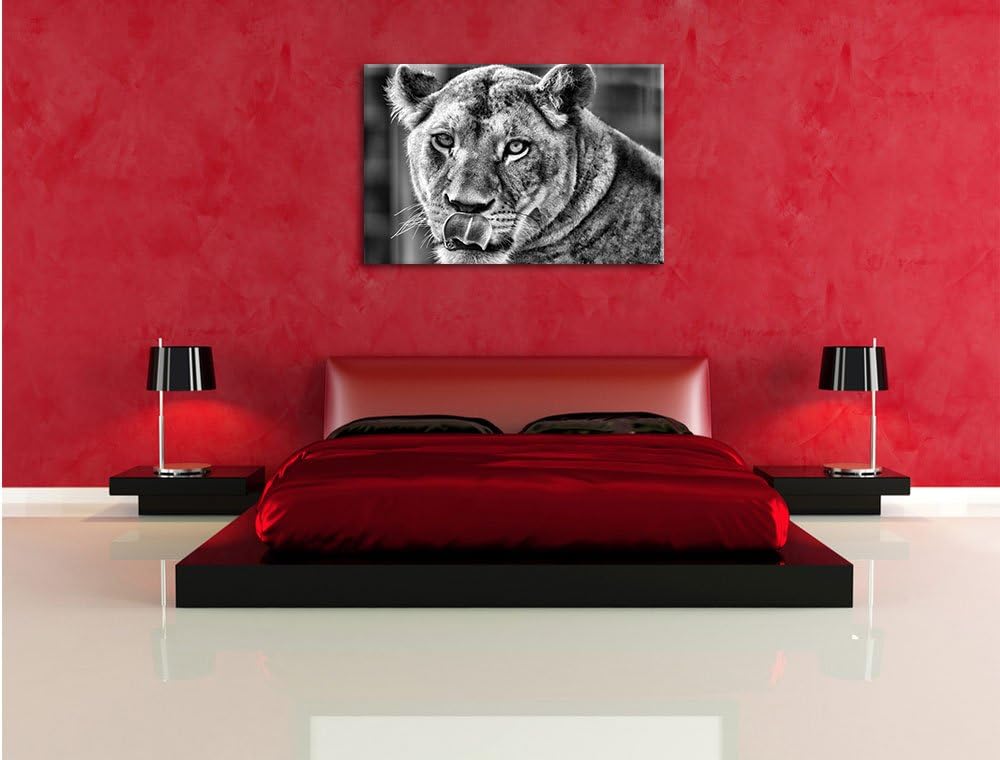 Monocrome, anmutige Löwin, Format: 100x70 auf Leinwand, XXL riesige Bilder fertig gerahmt mit Keilra