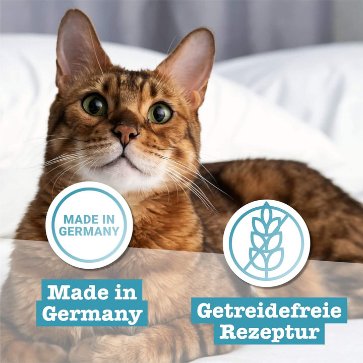 catz finefood N° 13 Hering &amp; Shrimps Feinkost Katzenfutter nass, verfeinert mit Kürbis &amp; Aloe Vera,
