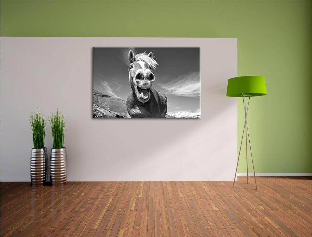 Pixxprint Pferd in der Natur als Leinwandbild/Grösse: 100x70 cm/Wandbild/Kunstdruck/fertig bespannt,