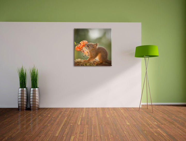 Pixxprint süsses Eichhörnchen riecht an Einer Blume, Format: 70x70 auf Leinwand, 70x70