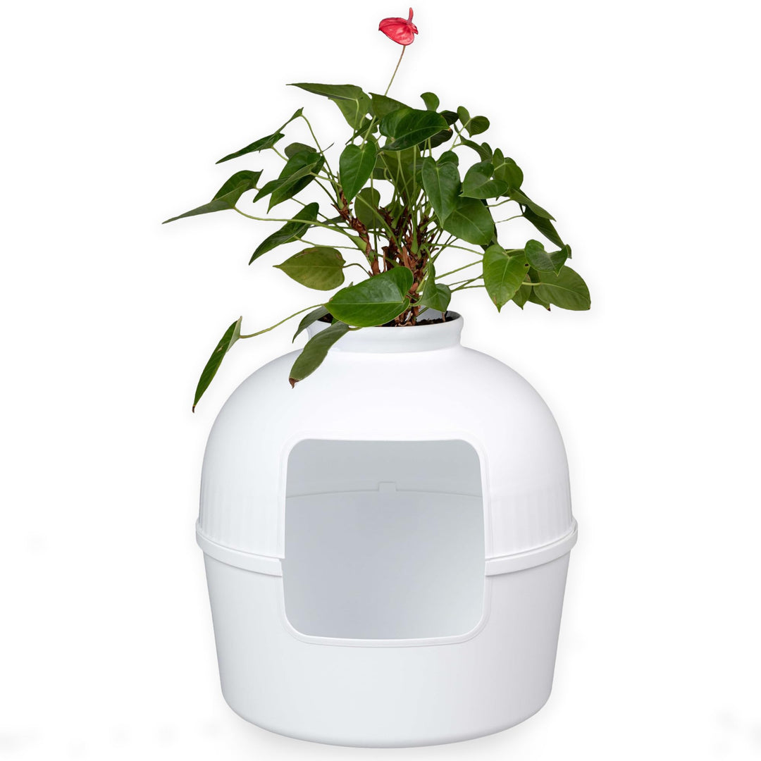 RHRQuality Katzentoilette Flower XXL unsichtbare Katzenklo mit Deckel 51Ø x 55cm (Weiss), Weiss