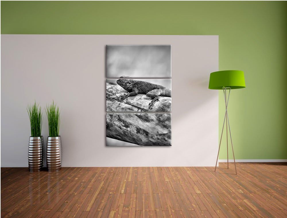 Pixxprint farbenfrohe Eidechse als Leinwandbild/Grösse: 3 Teilig (120x80) cm/Wandbild/Kunstdruck/fer