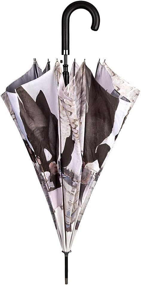 VON LILIENFELD® Regenschirm Automatik Damen Herren Kunst Motiv Gustave Caillebotte: Paris im Regen