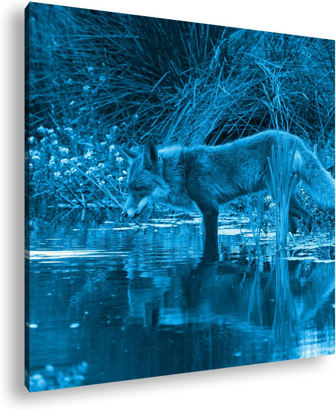 deyoli Anmutiger Fuchs am Wasser Format: 70x70 Effekt: Monocrome Blau als Leinwandbild, Motiv fertig