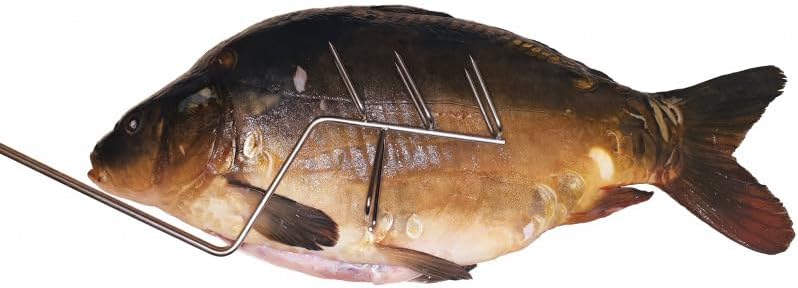 AlcoFermBrew Räucherhaken für Fleisch und Fisch (5 x Haken zum Räuchern von Karpfen mit Kopf), 5 x H