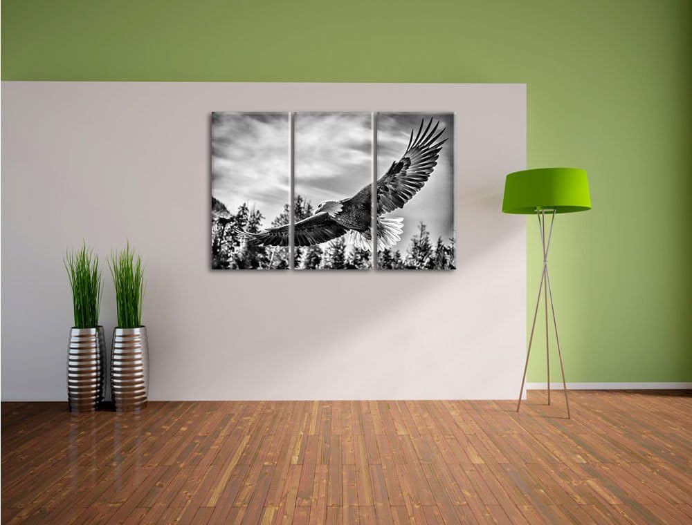 Pixxprint Adler als Leinwandbild | Grösse: 3 Teilig (120x80) | Wandbild| Kunstdruck | fertig bespann