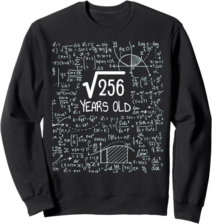 T-Shirt zum 16. Geburtstag – Wurzel 256: 16 Sweatshirt