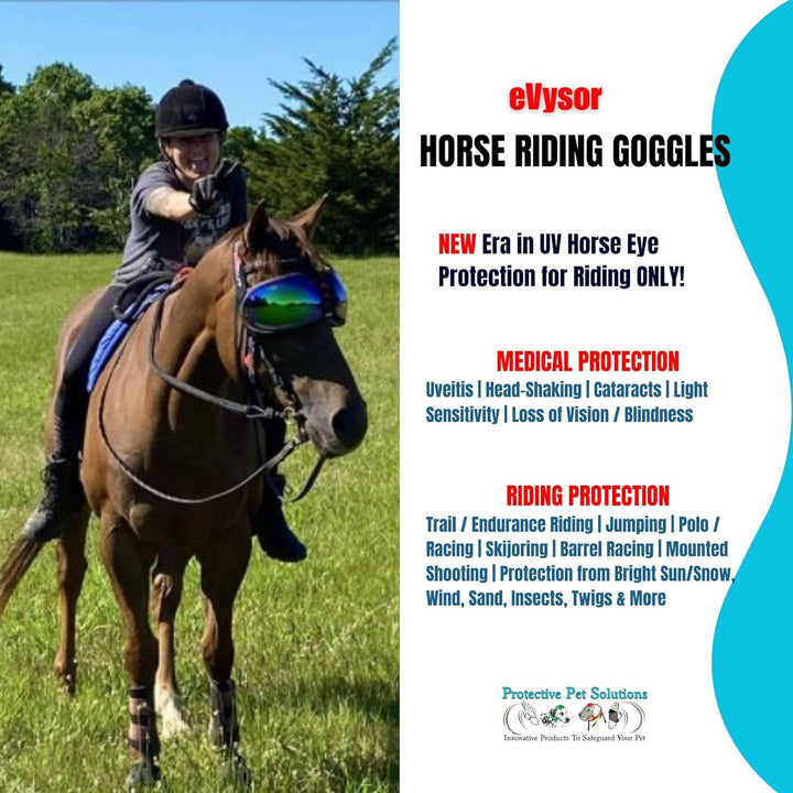 EQUICK Brille Pferd eVysor