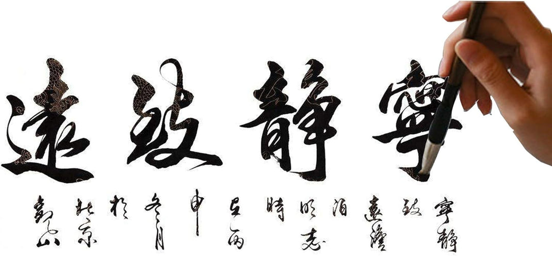 WDEC 10-teilig Chinesischer Kalligraphie Pinsel Set, Chinesisch, Künstlerbedarf, Malerei Inkstone mi