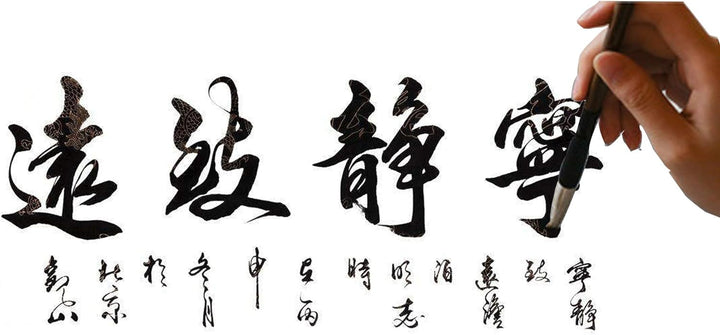 WDEC 10-teilig Chinesischer Kalligraphie Pinsel Set, Chinesisch, Künstlerbedarf, Malerei Inkstone mi
