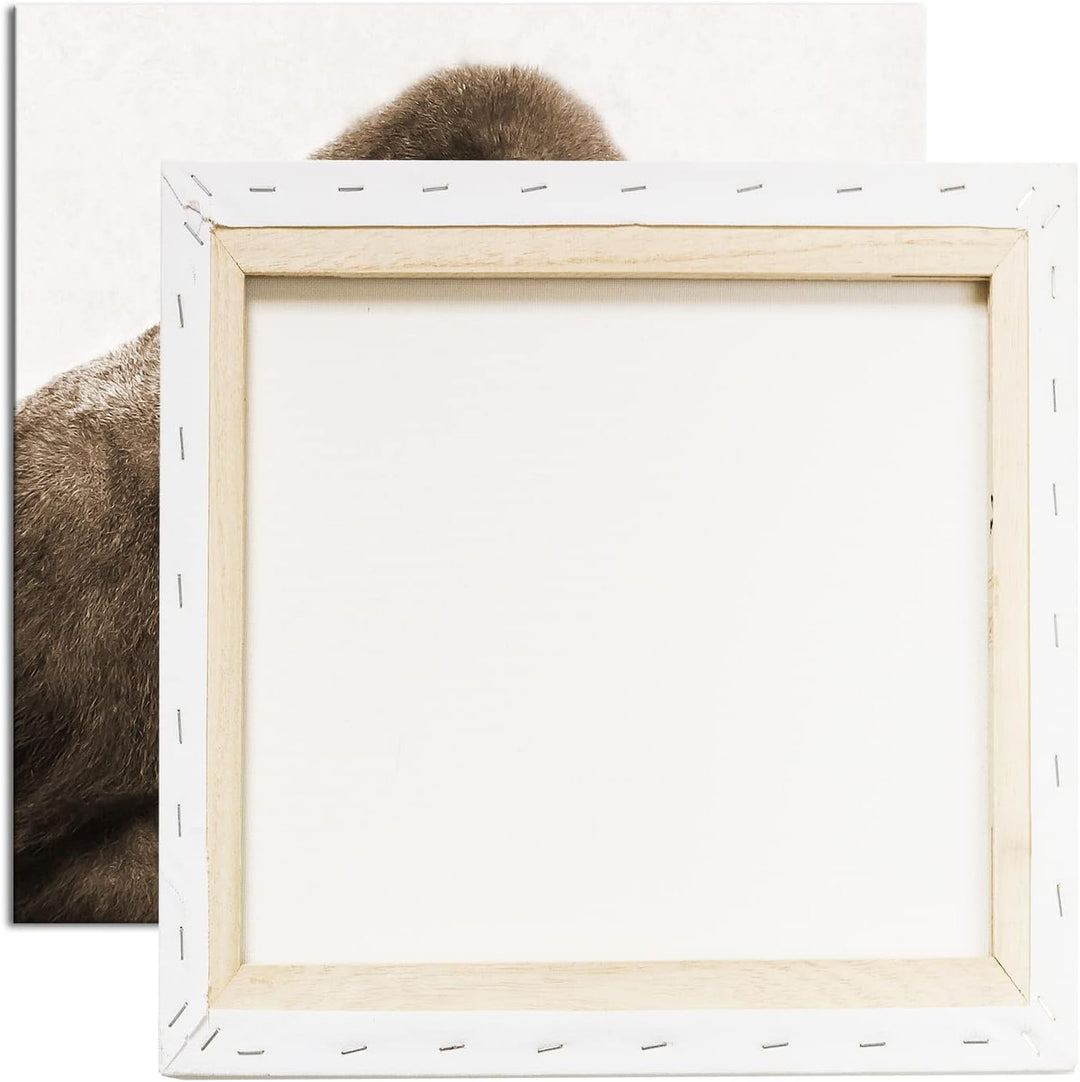 Gorilla Silberrücken Format: 70x70 Effekt: Sepia als Leinwandbild, Motiv fertig gerahmt auf Echtholz