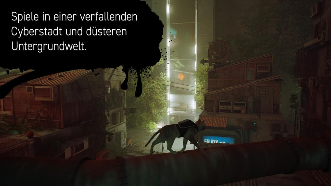 Stray