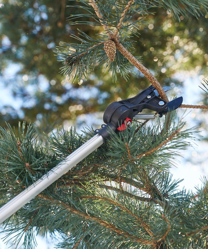 Felco Stangensäge Modell 290 – 1 Ext Karbonstahl Antihaftbeschichtung Ergo Soft Touch Dyneema Seil D