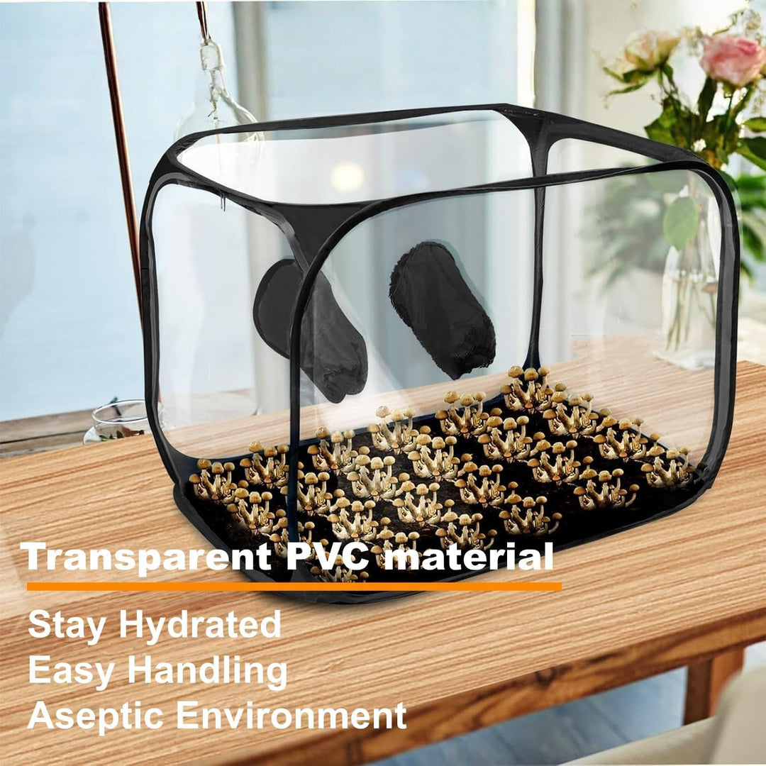 Pilzzucht-Set faltbar, Still Air Box | 85 x 52 x52 cm transparentes Pilzzuchtzelt | Tragbares Pop-Up