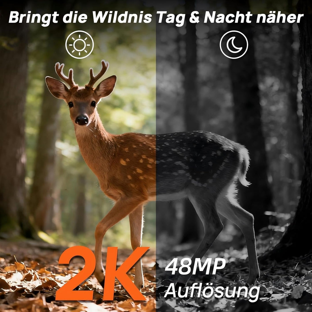 iZEEKER 2 in 1 Cloud 4G & Standard Wildkamera, 2K HD 48MP Wildkamera mit Bewegungsmelder Nachtsicht
