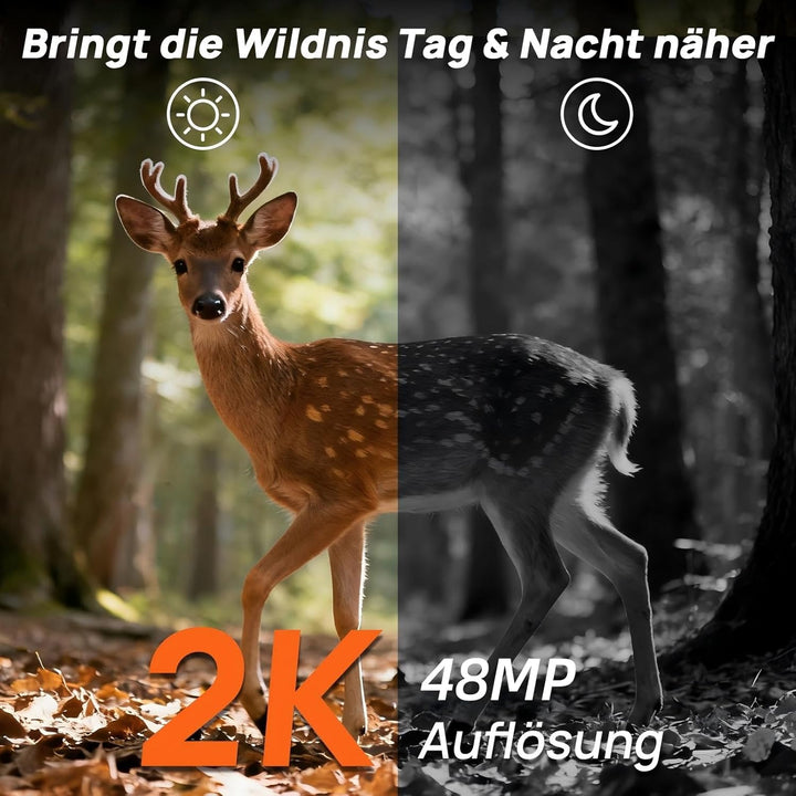 iZEEKER 2 in 1 Cloud 4G & Standard Wildkamera, 2K HD 48MP Wildkamera mit Bewegungsmelder Nachtsicht