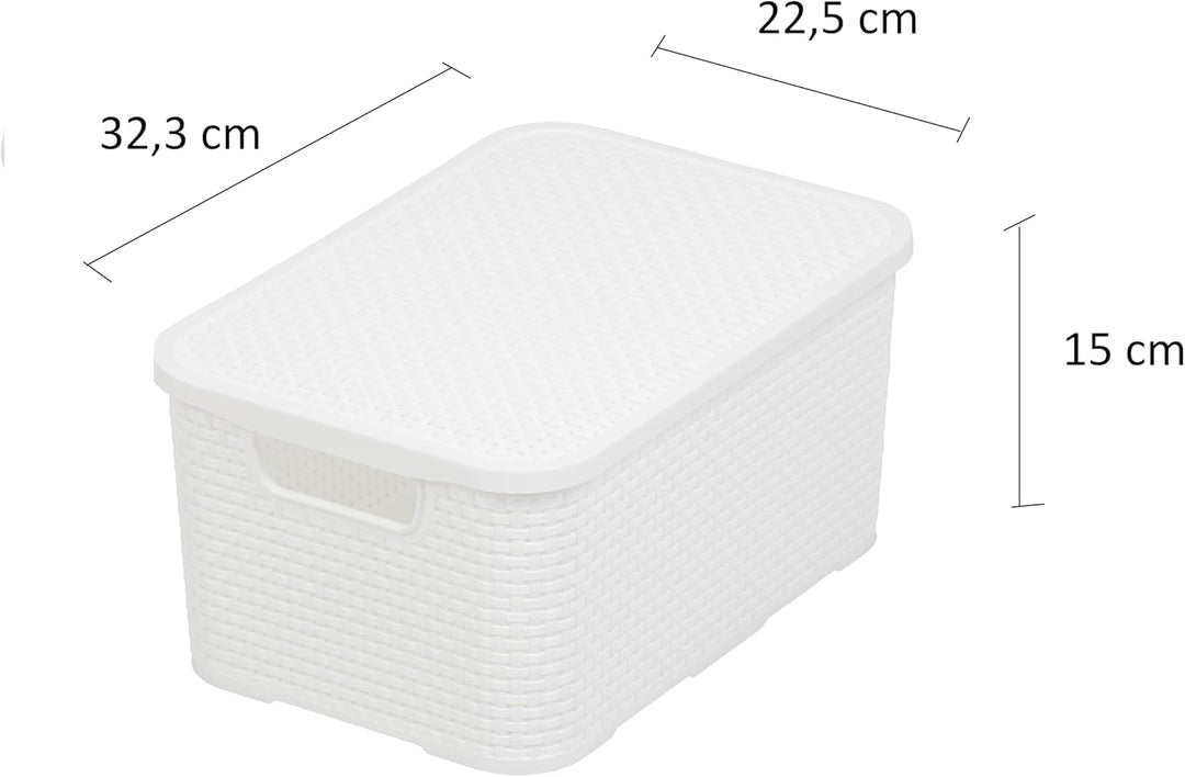 BranQ - Home essential Korb mit Deckel in Rattan Design 2er Set Grösse M 10 l, BPA-frei Kunststoff P