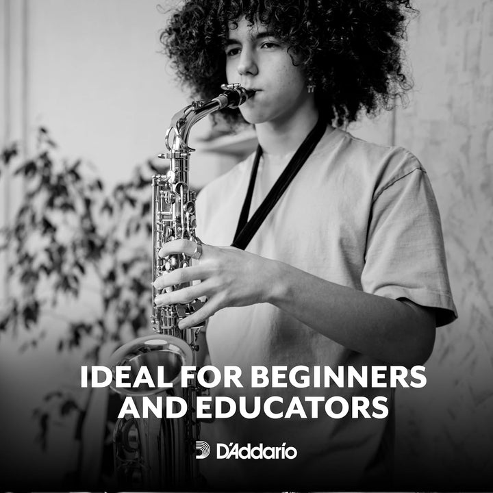Rico by D'Addario Blätter für Altsaxophon, Nr. 2,5, 25 Stück