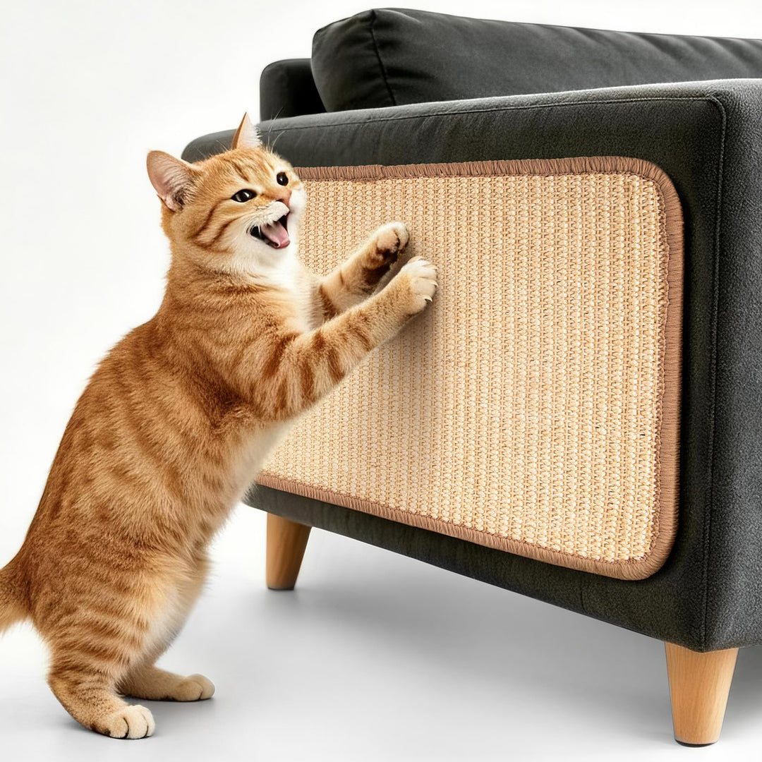 REFLYING Kratzmatte Katze aus Sisal, robuste Kratzmatte 40x60cm | Natürliches Sisal, dicke robuste S