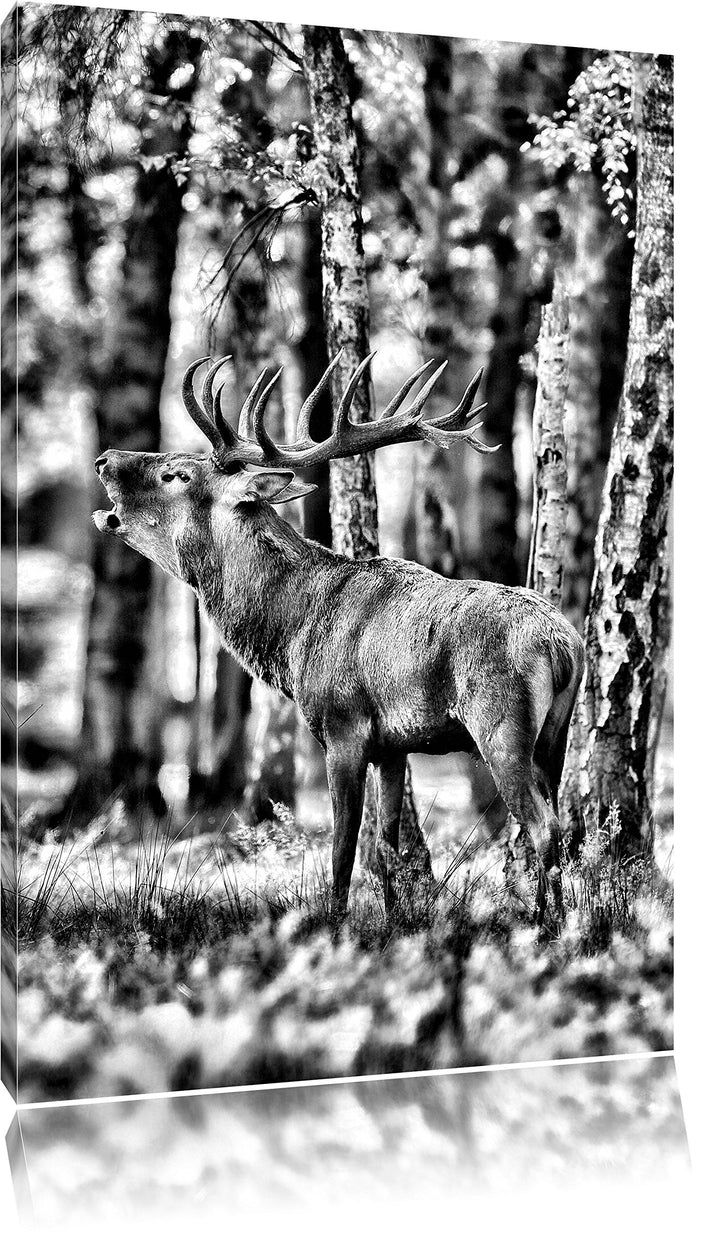 Monocrome, Hirsch im Wald, Format: 100x70 auf Leinwand, XXL riesige Bilder fertig gerahmt mit Keilra