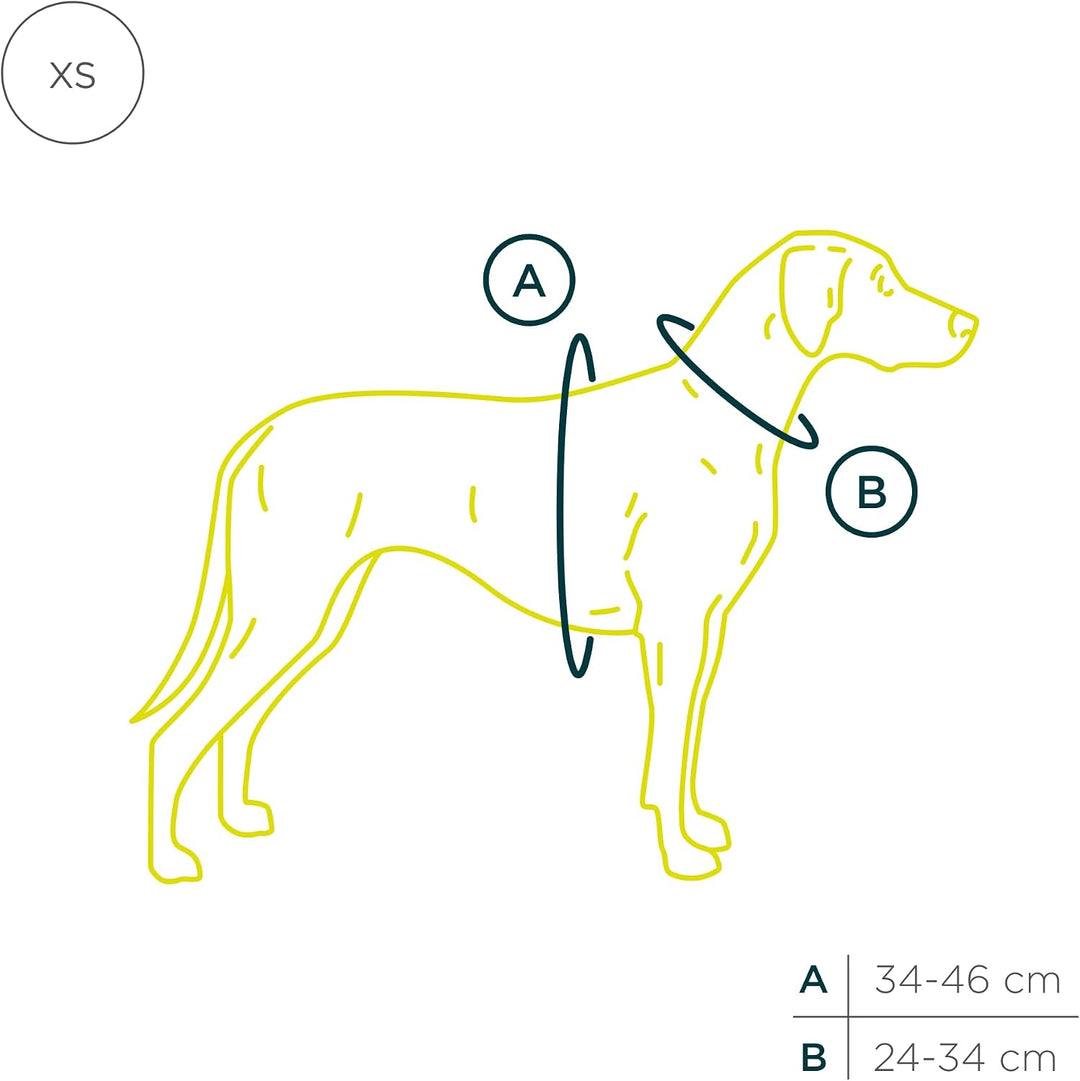 Lord Leder Hundegeschirr mit Guard-Konstruktion, Natürliche Rindsleder, für Sehr Kleine Hunde und We