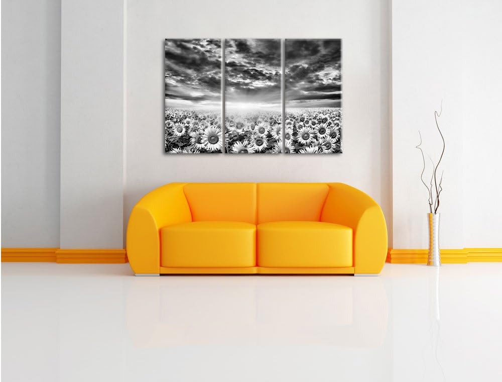 Pixxprint Sonnenblumenfeld als Leinwandbild/Grösse: 3 Teilig (120x80) cm/Wandbild/Kunstdruck/fertig