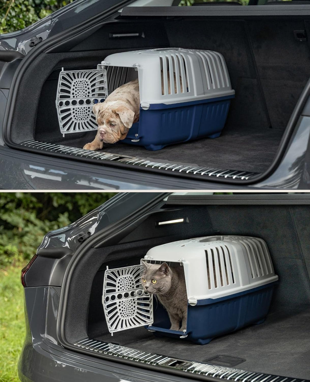 lionto Transportbox für Hunde & Katzen aus recyceltem Kunststoff Tiertransportbox Kleintierbox, 48x3